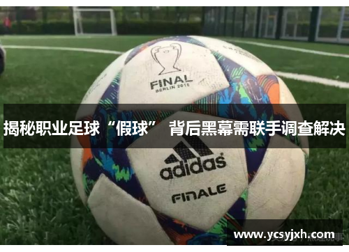 揭秘职业足球“假球” 背后黑幕需联手调查解决